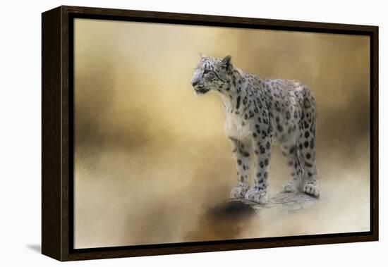 Snow Leopard-Jai Johnson-Framed Premier Image Canvas