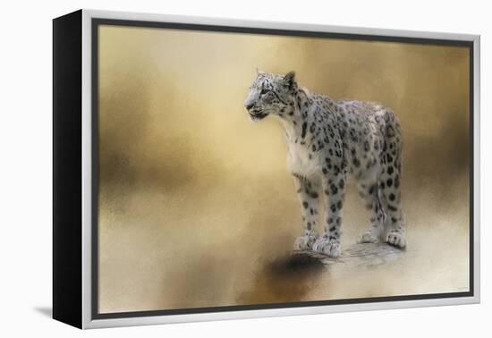 Snow Leopard-Jai Johnson-Framed Premier Image Canvas