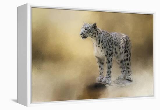 Snow Leopard-Jai Johnson-Framed Premier Image Canvas