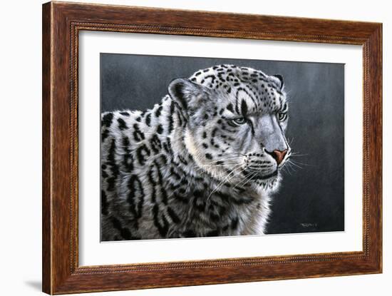 Snow Leopard-Jeremy Paul-Framed Giclee Print