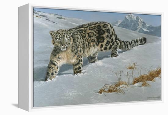 Snow Leopard-Harro Maass-Framed Premier Image Canvas