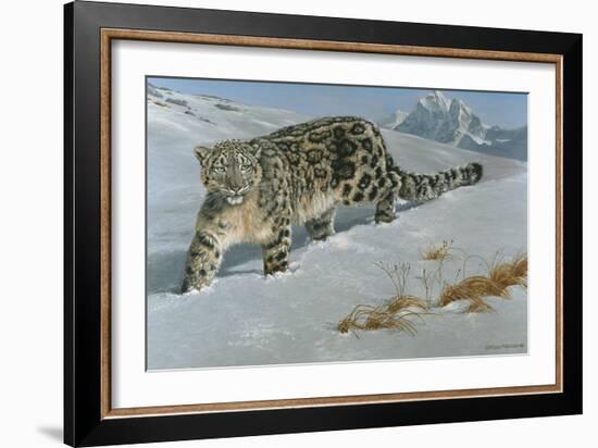 Snow Leopard-Harro Maass-Framed Giclee Print