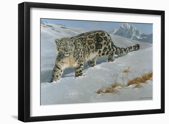 Snow Leopard-Harro Maass-Framed Giclee Print