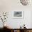 Snow Leopard-Harro Maass-Framed Giclee Print displayed on a wall