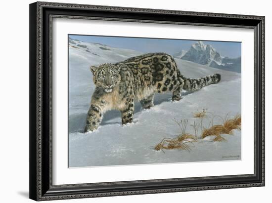 Snow Leopard-Harro Maass-Framed Giclee Print