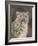 Snow Leopard-David Stribbling-Framed Art Print