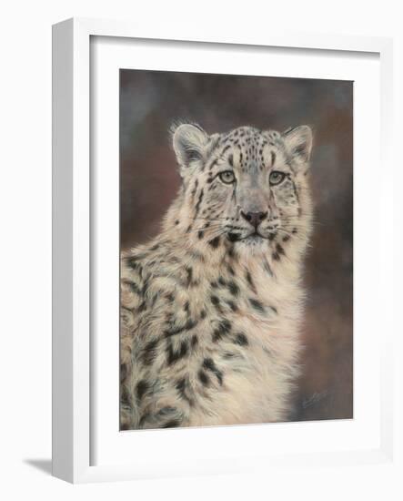 Snow Leopard-David Stribbling-Framed Art Print