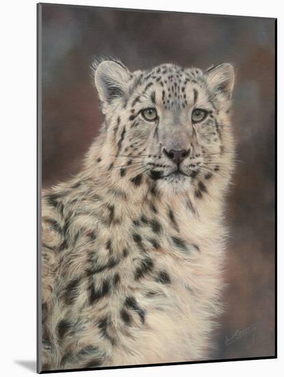 Snow Leopard-David Stribbling-Mounted Art Print