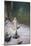 Snow Maiden, 1899-Victor Mikhailovich Vasnetsov-Mounted Giclee Print
