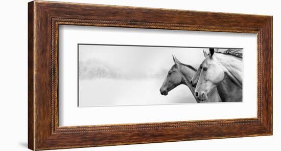 Snow Mares-Rosa Mesa-Framed Art Print