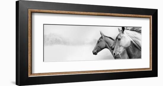 Snow Mares-Rosa Mesa-Framed Art Print