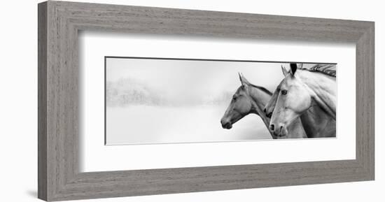 Snow Mares-Rosa Mesa-Framed Art Print