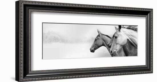 Snow Mares-Rosa Mesa-Framed Art Print