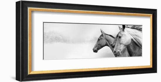 Snow Mares-Rosa Mesa-Framed Art Print