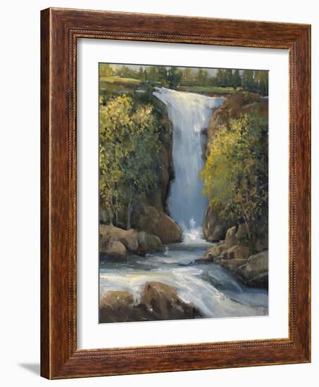 Snow Melt I-Tim O'toole-Framed Art Print