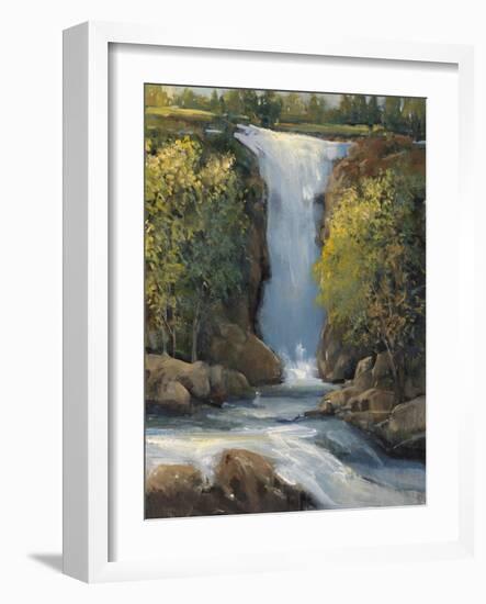 Snow Melt I-Tim O'toole-Framed Art Print