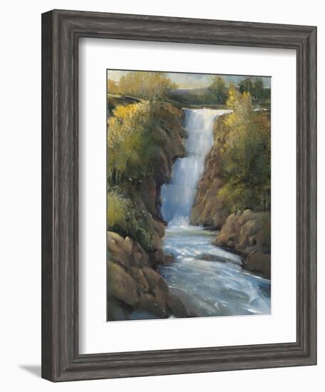 Snow Melt II-Tim O'toole-Framed Art Print