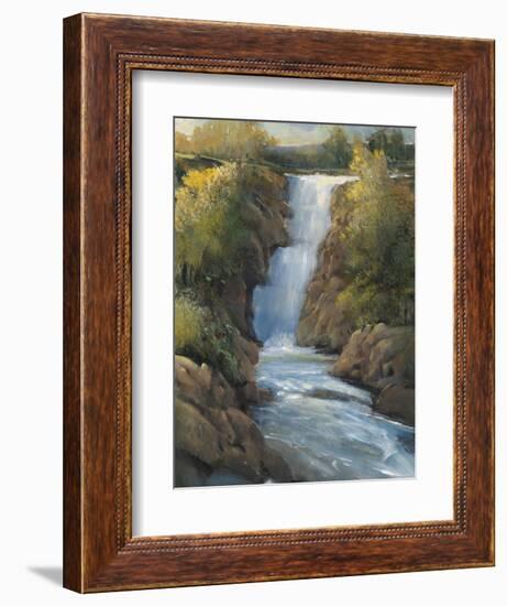 Snow Melt II-Tim O'toole-Framed Art Print