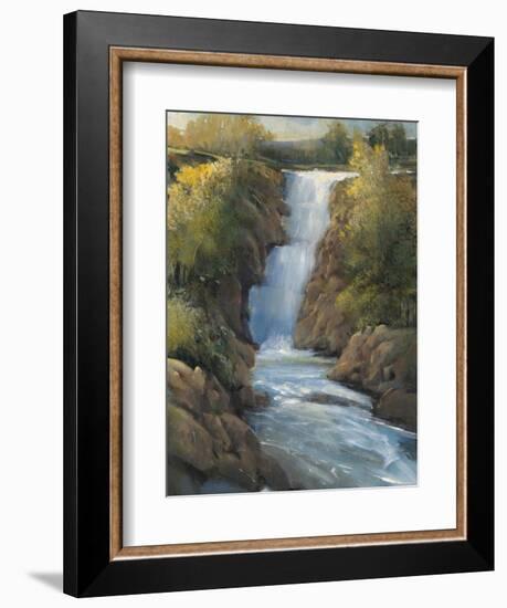 Snow Melt II-Tim O'toole-Framed Art Print