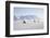 Snow Mobiles, Adventdalen Valley, Longyearbyen-Stephen Studd-Framed Photographic Print