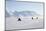 Snow Mobiles, Adventdalen Valley, Longyearbyen-Stephen Studd-Mounted Photographic Print