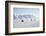 Snow Mobiles, Adventdalen Valley, Longyearbyen-Stephen Studd-Framed Photographic Print