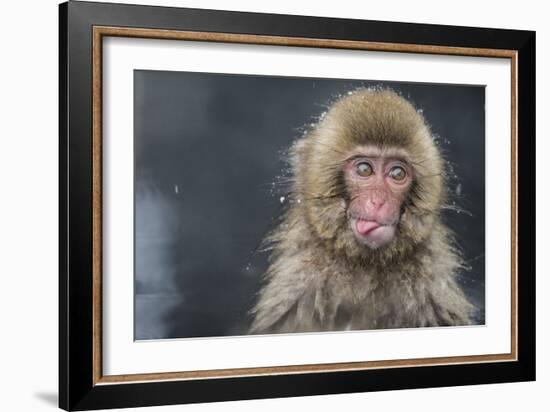 Snow Money, Tongue Out-Takeshi Marumoto-Framed Giclee Print