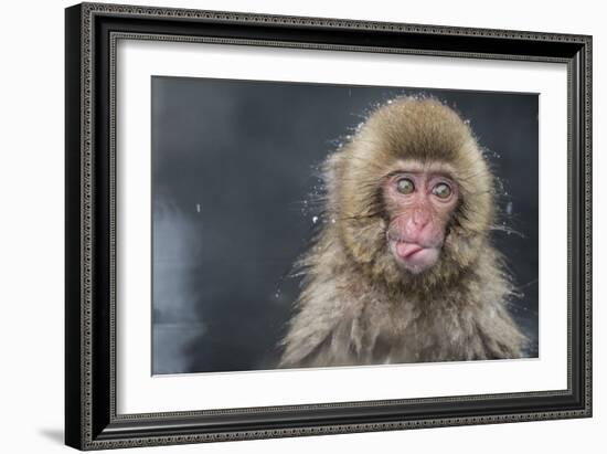 Snow Money, Tongue Out-Takeshi Marumoto-Framed Giclee Print