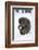 Snow Monkey (Macaca Fuscata), Kingussie-Ann & Steve Toon-Framed Photographic Print