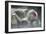 Snow Monkeys-null-Framed Photographic Print