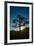 Snow Moon Setting Over Novato Marin Hills Countryside Oak Tree-Vincent James-Framed Photographic Print