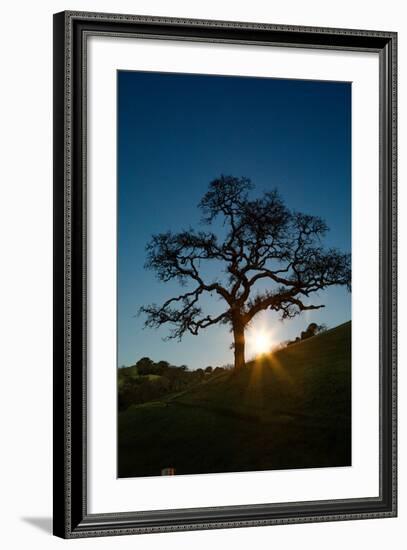 Snow Moon Setting Over Novato Marin Hills Countryside Oak Tree-Vincent James-Framed Photographic Print