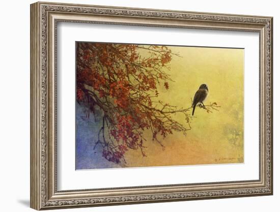 Snow Oak-Chris Vest-Framed Art Print