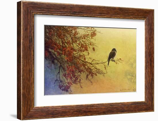 Snow Oak-Chris Vest-Framed Art Print