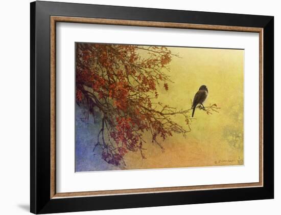 Snow Oak-Chris Vest-Framed Art Print