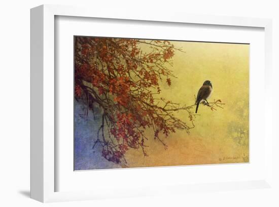 Snow Oak-Chris Vest-Framed Art Print