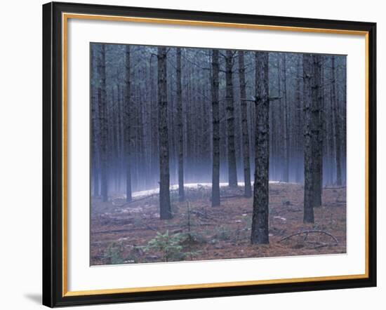 Snow on a Native American Burial Mound Near the Wolf River, Wisconsin-null-Framed Photographic Print