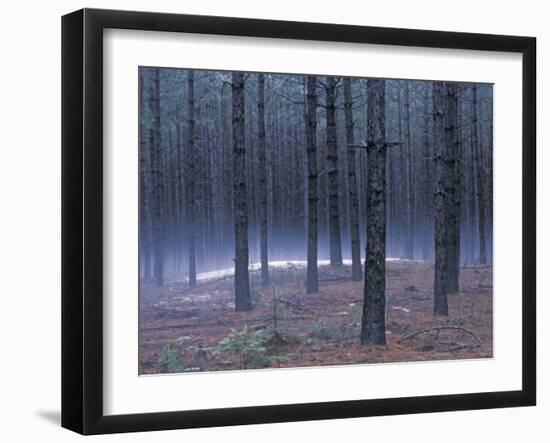 Snow on a Native American Burial Mound Near the Wolf River, Wisconsin-null-Framed Photographic Print