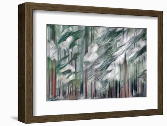 Snow on Cedars-Ursula Abresch-Framed Photographic Print