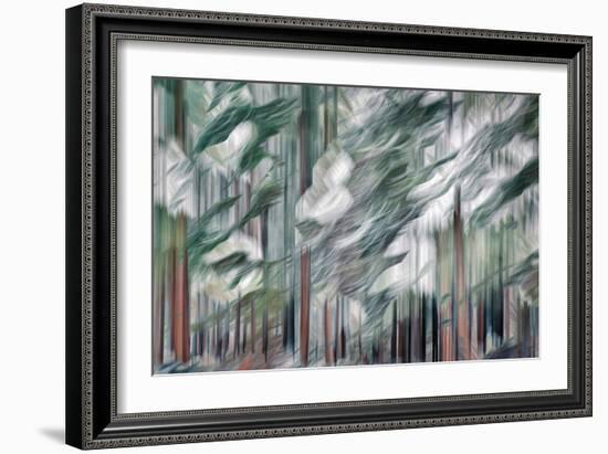 Snow on Cedars-Ursula Abresch-Framed Photographic Print