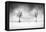 Snow on the Beach-George Digalakis-Framed Premier Image Canvas