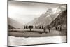 Snow on the Galibier, 1924-Presse ’E Sports-Mounted Photographic Print