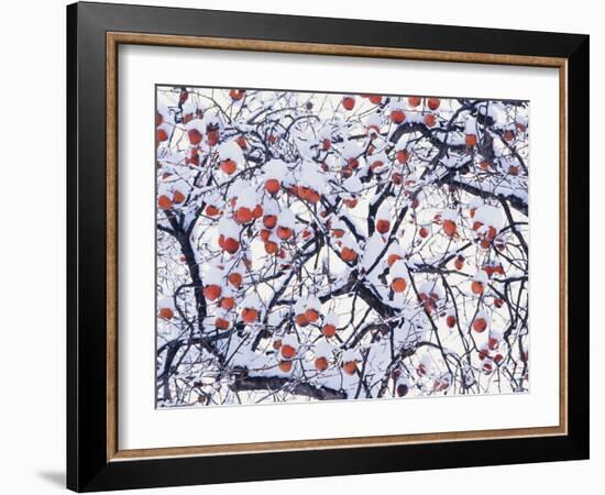 Snow on the Tree-WizData-Framed Photographic Print