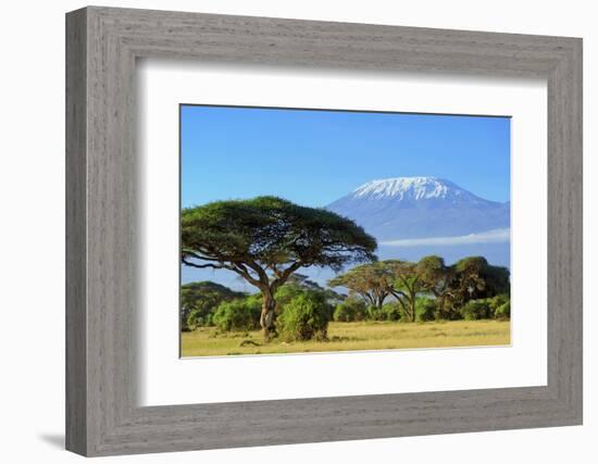 Snow on Top of Mount Kilimanjaro in Amboseli-Volodymyr Burdiak-Framed Photographic Print