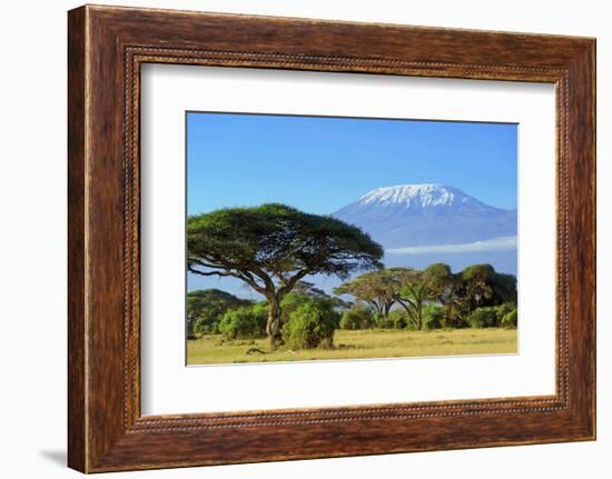 Snow on Top of Mount Kilimanjaro in Amboseli-Volodymyr Burdiak-Framed Photographic Print