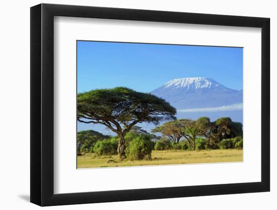 Snow on Top of Mount Kilimanjaro in Amboseli-Volodymyr Burdiak-Framed Photographic Print