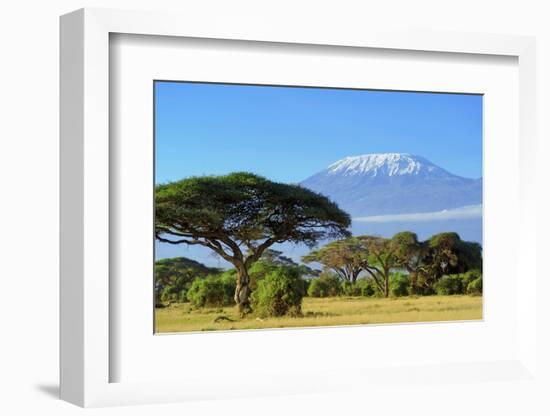 Snow on Top of Mount Kilimanjaro in Amboseli-Volodymyr Burdiak-Framed Photographic Print