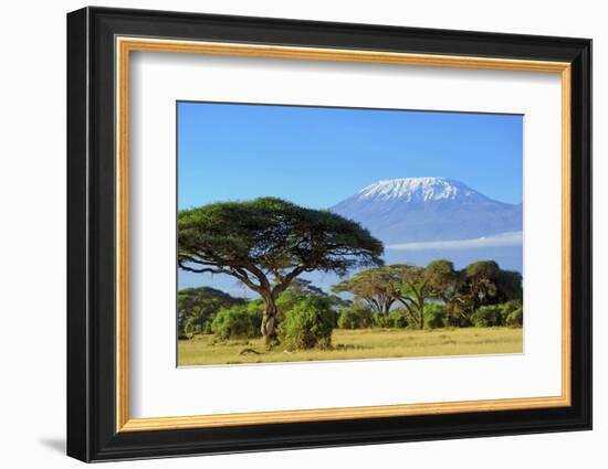 Snow on Top of Mount Kilimanjaro in Amboseli-Volodymyr Burdiak-Framed Photographic Print