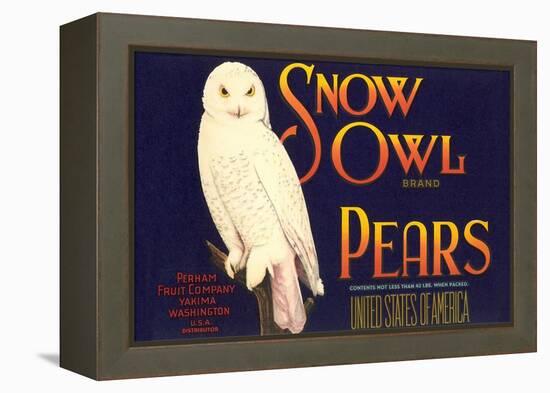 Snow Owl Pear Label-null-Framed Stretched Canvas