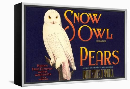 Snow Owl Pear Label-null-Framed Stretched Canvas